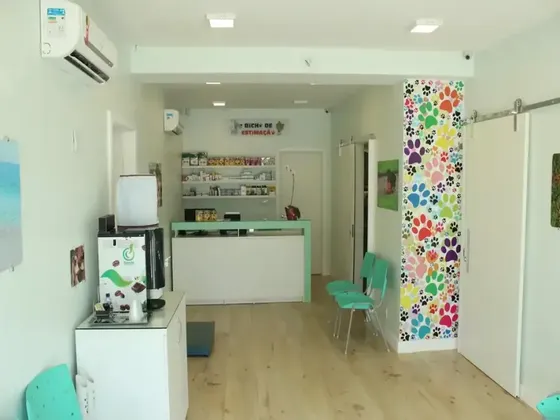 Recepção da clínica veterinária Bicho de Estimação em Campinas - ambiente limpo e acolhedor